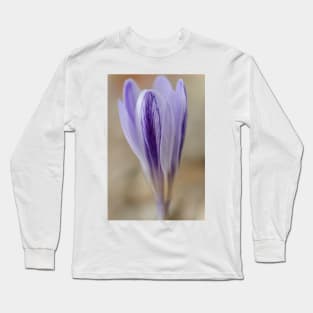 Crocus cancellatus subspecies cancellatus  Autumn flowering crocus Long Sleeve T-Shirt